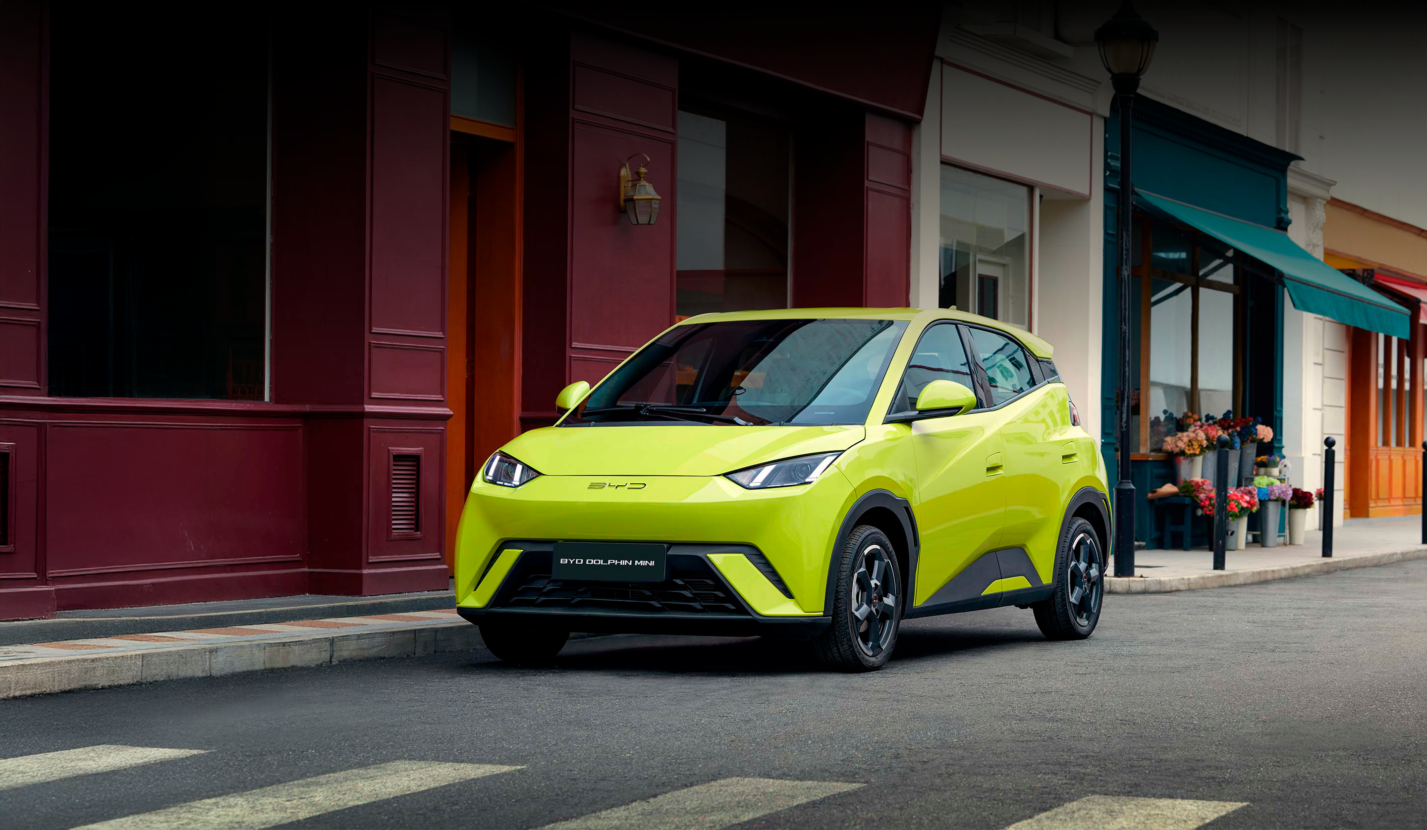 ag亚洲集团 DOLPHIN MINI